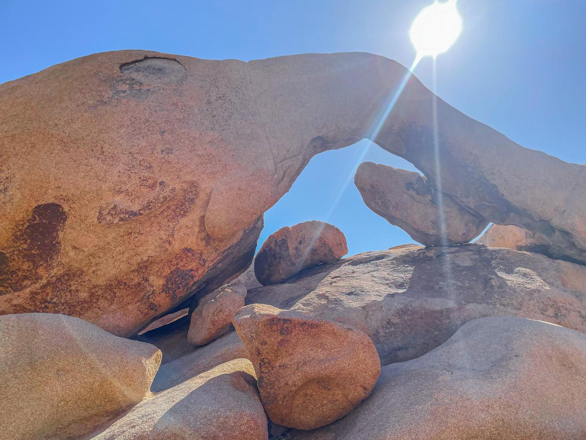 New Property! The Cactus Villas At Joshua Tree National Park - Pool, Hot Tub, Outdoor Shower, Fire Pit Twentynine Palms Exterior foto